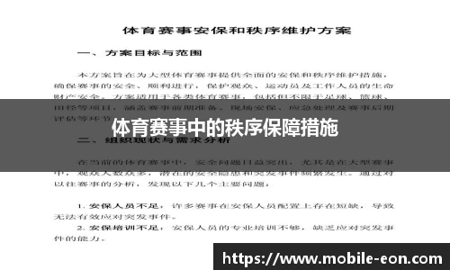 体育赛事中的秩序保障措施